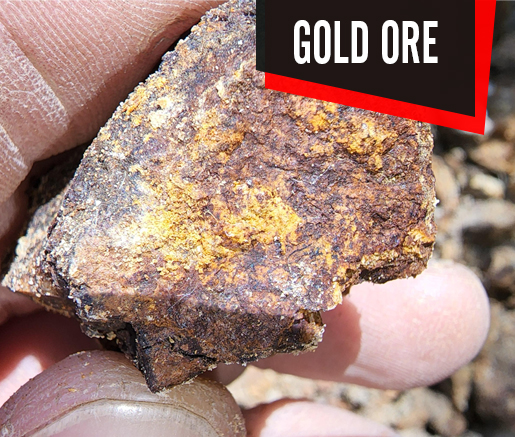 Gold ore processing analysis