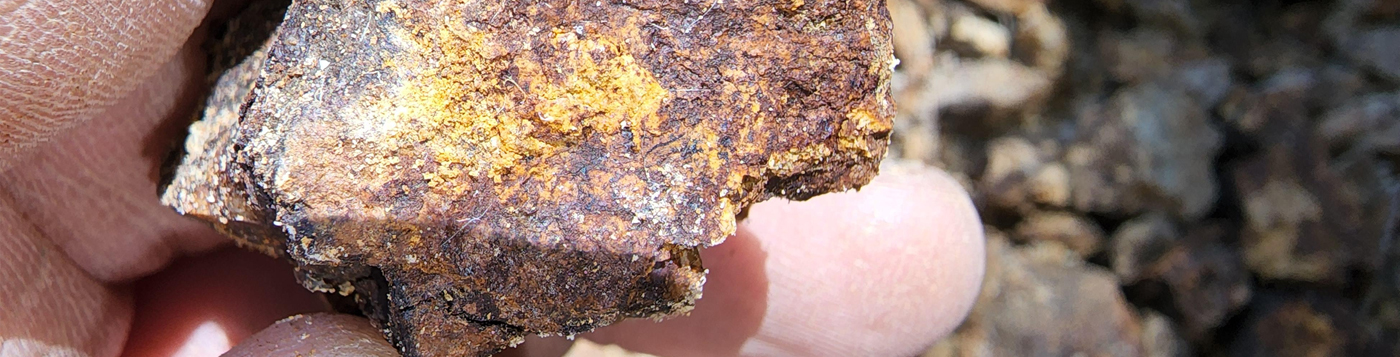 Gold ore processing analysis
